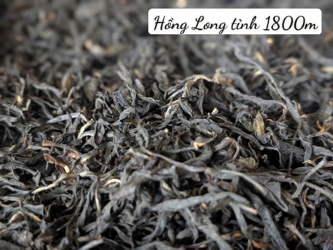 HỒNG TRÀ LONG TỈNH VIỆT