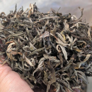 PHỔ NHĨ SỐNG SHAN ( ĐƠN CÂY )