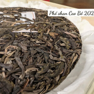 PHỔ NHĨ SỐNG SHAN 2025