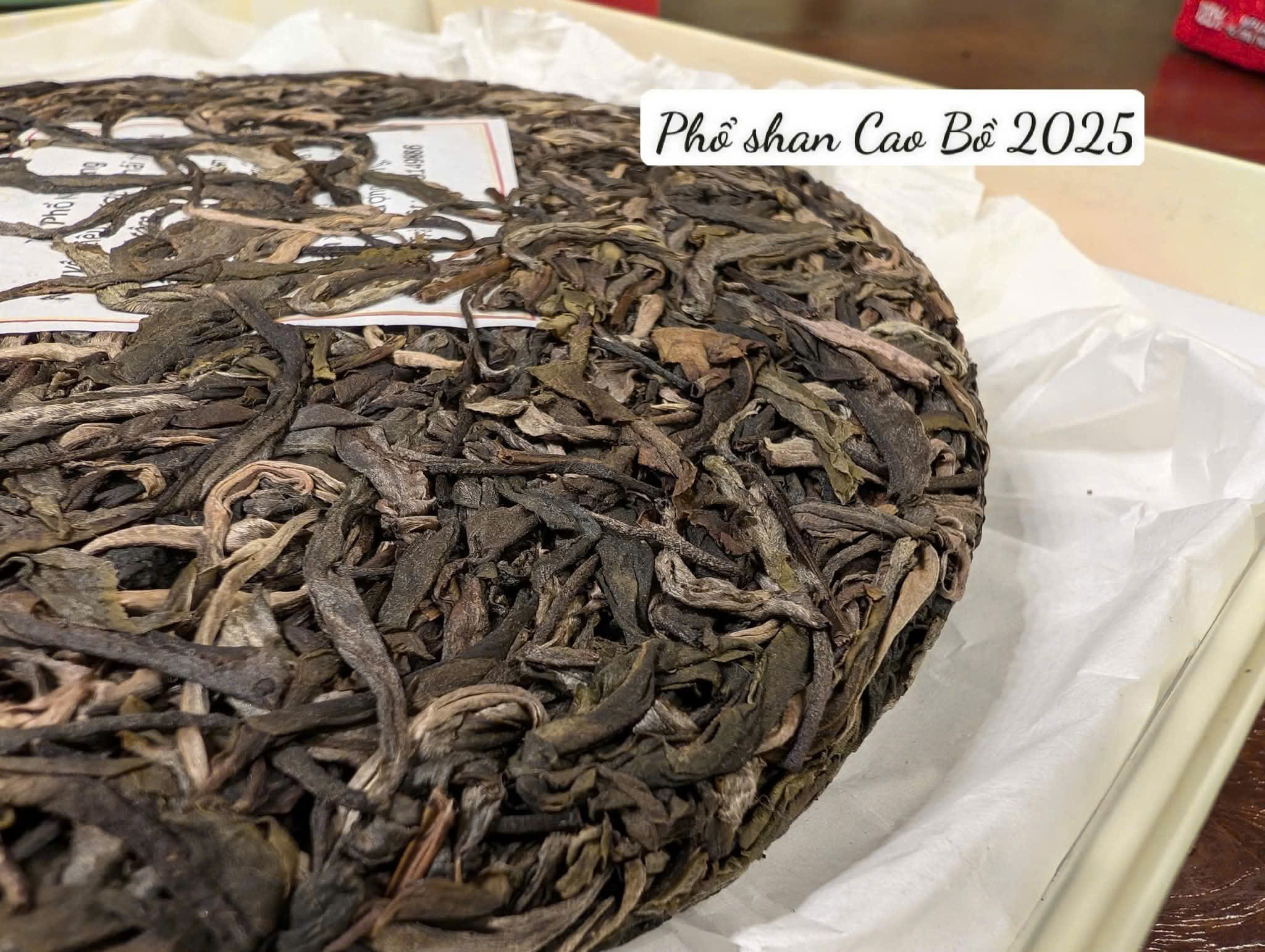 PHỔ NHĨ SỐNG SHAN 2025