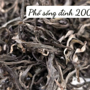 PHỔ NHĨ SỐNG TIÊN 2024